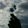 m_haris__5