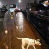 thisismyreal_name