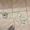 chickenchaser223