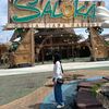 marsih.saron