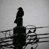 mohd.s9x