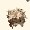 ff_ty415