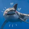 sharkylicious3