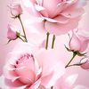 rojina.khatun33