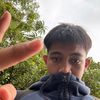 alippdamnn2