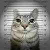 iamwantedfromthefbi
