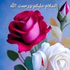 isra0481
