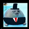 seal21122