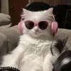 cat_zup