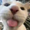 totallynotlyle19