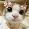 .deptraiqa