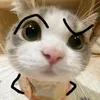 yourmothaarrr