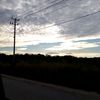 alinskie21