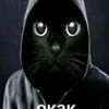 erasu1_16