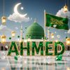 hafizmahmadalam04