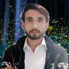 adeelahmad6175