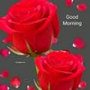 user42580104603031