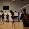 volleywithani14