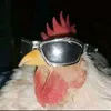 brairots11