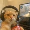 ggsggs__22432