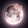 beavermoon51