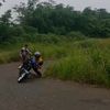 pikk1501
