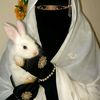 hafejsohailahmed