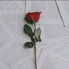 seengeem6
