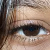 raro2011