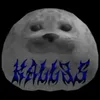 kall3s_