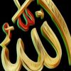 user61763831109038