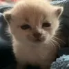 nonou_63