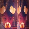 sana.plp2