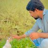 sanaullah454005