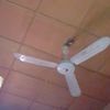 user5183815068815