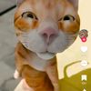 zeeya030718