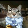 gato_conquest2