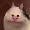 bepyeuanh00