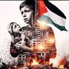 ibrahim.mahmoud4984