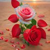 user531958880