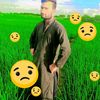 ali.jaan8347