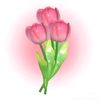 putriashiilah_636