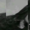 herminioapolonio8