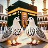 saadaamoow4