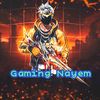 Gaming Naim