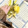 user4381830919866