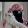 ayaan.apthiqadir