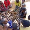 voice of orphans