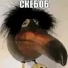 tujh2_1