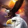 jamel.mansouri5